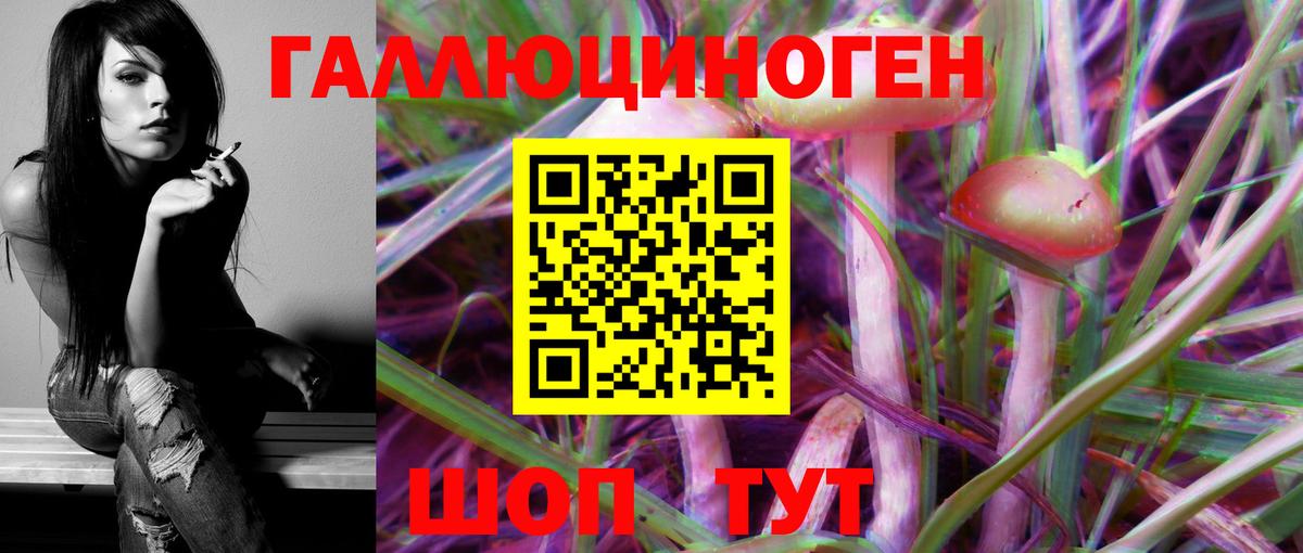 Галлюциногенные грибы прущие грибы Луга