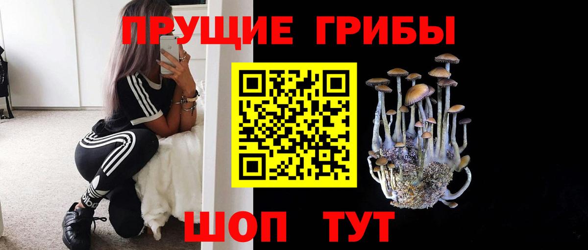 Псилоцибиновые грибы Magic Shrooms  Галлюциногенные грибы GOLDEN TEACHER  Луга 