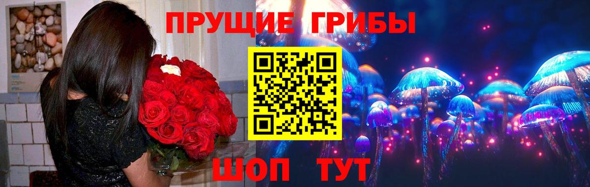 Галлюциногенные грибы Cubensis  Вход с VPN  Галлюциногенные грибы GOLDEN TEACHER  Луга 